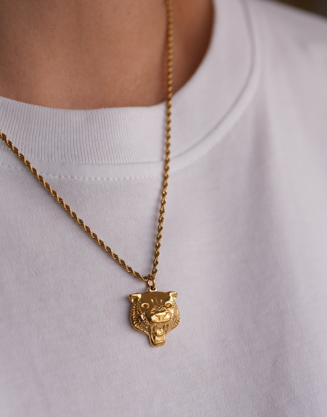 COLLAR TIGER