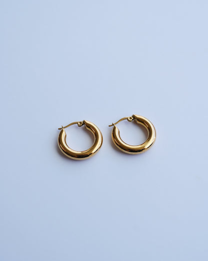 AROS GALIA