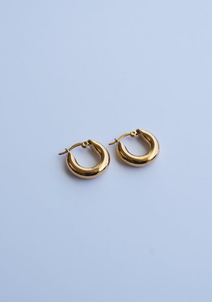 AROS GALIA