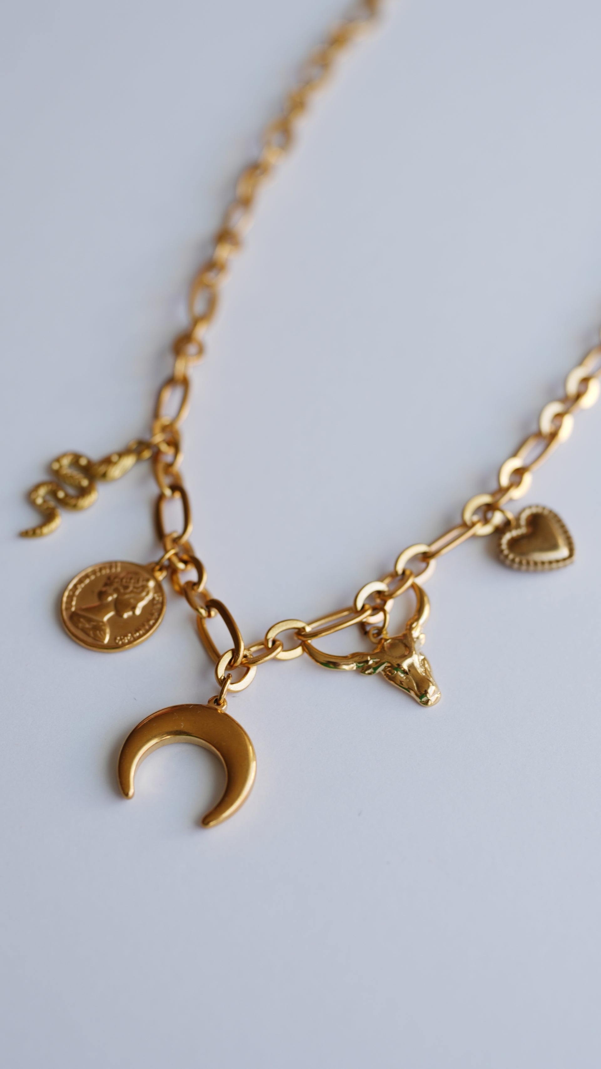 COLLAR TEXAS