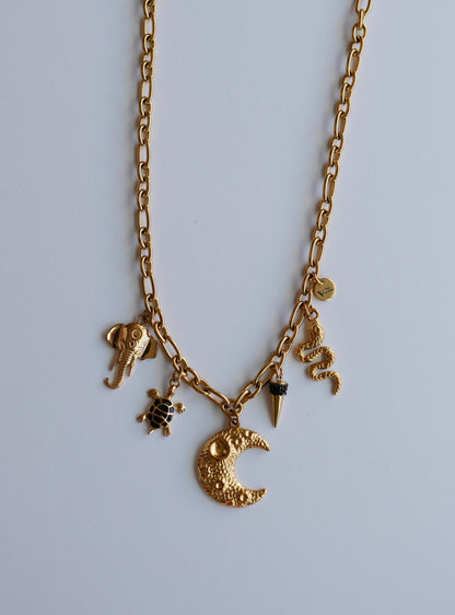 COLLAR KORALI