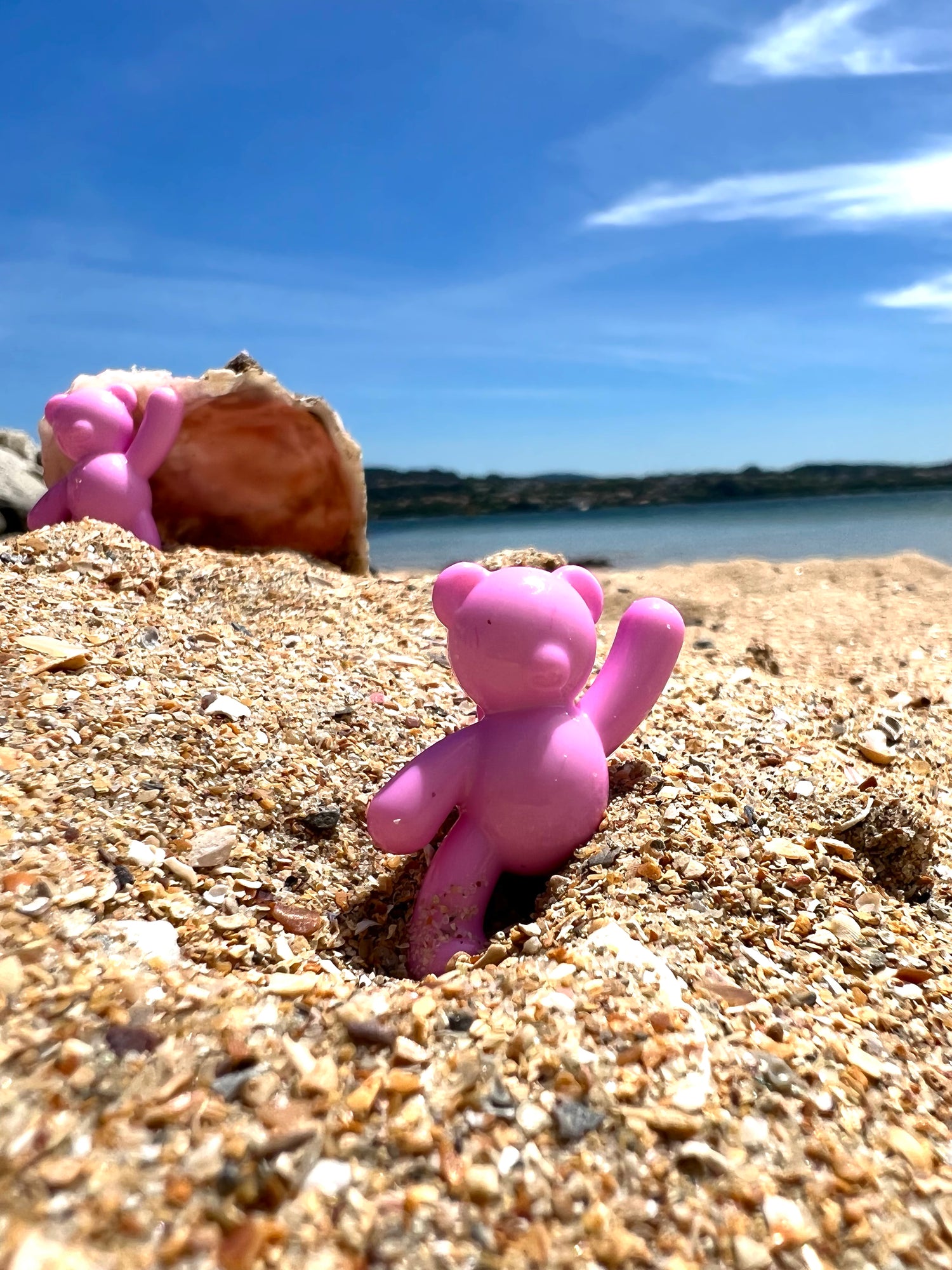 GUMMY BEAR PINK THE VECINA X ASOCIACION COMETA