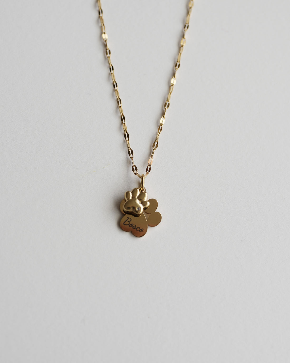 COLLAR HUELLA