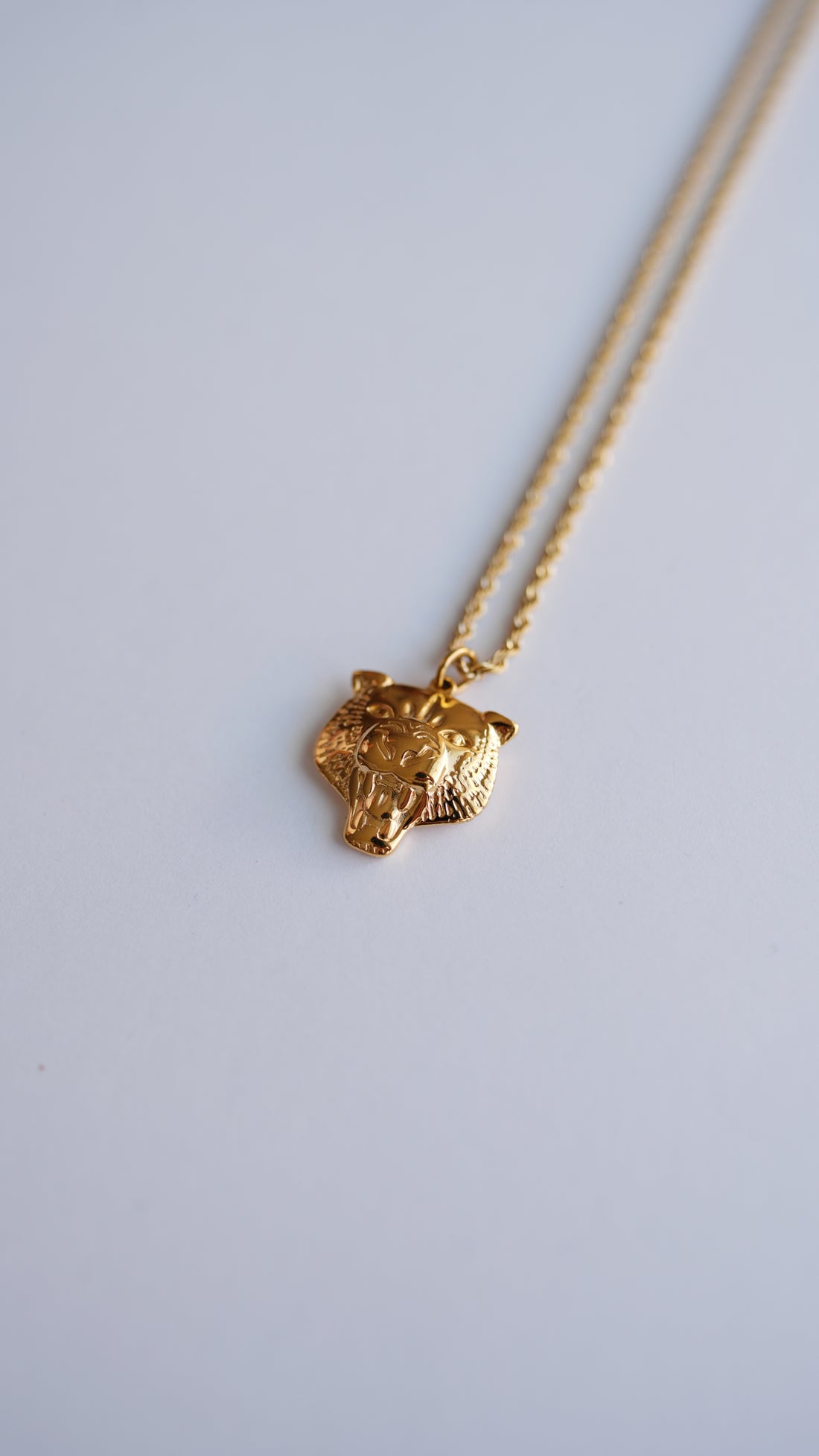 COLLAR TIGER